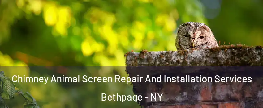  Chimney Animal Screen Repair And Installation Services Bethpage - NY