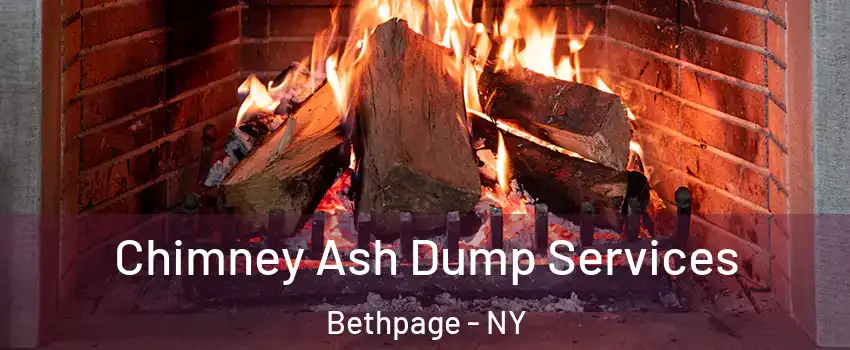  Chimney Ash Dump Services Bethpage - NY