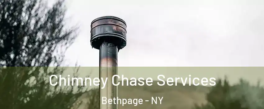  Chimney Chase Services Bethpage - NY