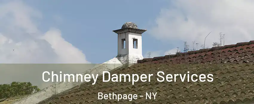  Chimney Damper Services Bethpage - NY