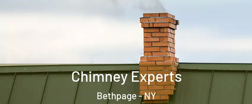  Chimney Experts Bethpage - NY