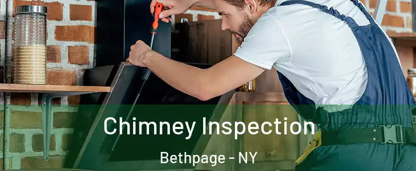  Chimney Inspection Bethpage - NY