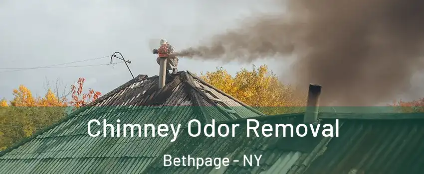  Chimney Odor Removal Bethpage - NY
