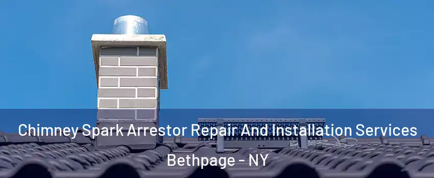  Chimney Spark Arrestor Repair And Installation Services Bethpage - NY
