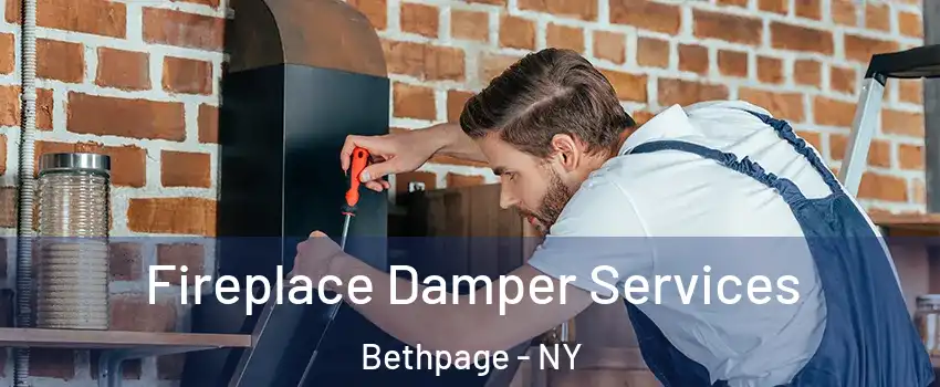 Fireplace Damper Services Bethpage - NY