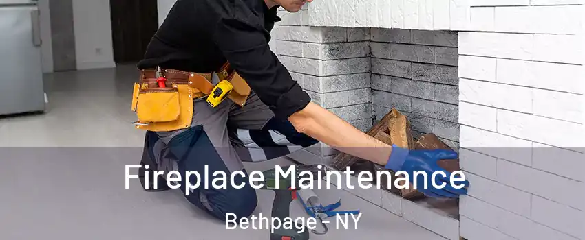  Fireplace Maintenance Bethpage - NY