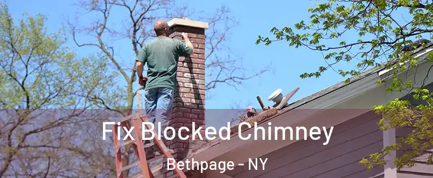  Fix Blocked Chimney Bethpage - NY