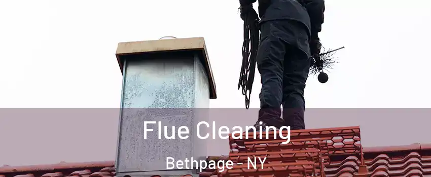  Flue Cleaning Bethpage - NY