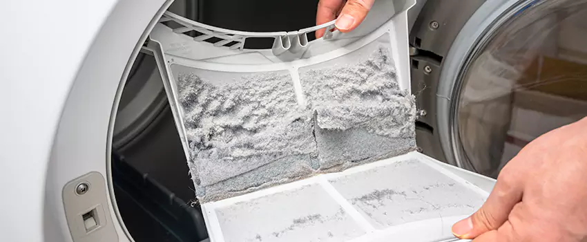 Best Dryer Lint Removal Company in Bethpage, New York