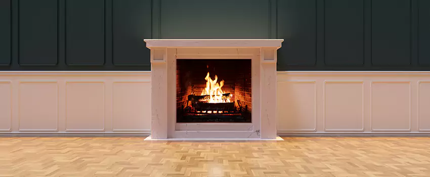 Napoleon Electric Fireplaces Inspection Service in Bethpage, New York