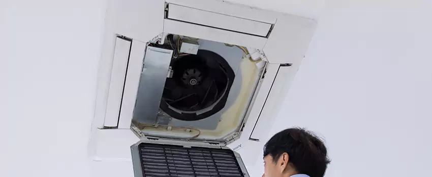 Benefits of Professional Air Duct Cleaning in Bethpage, New York