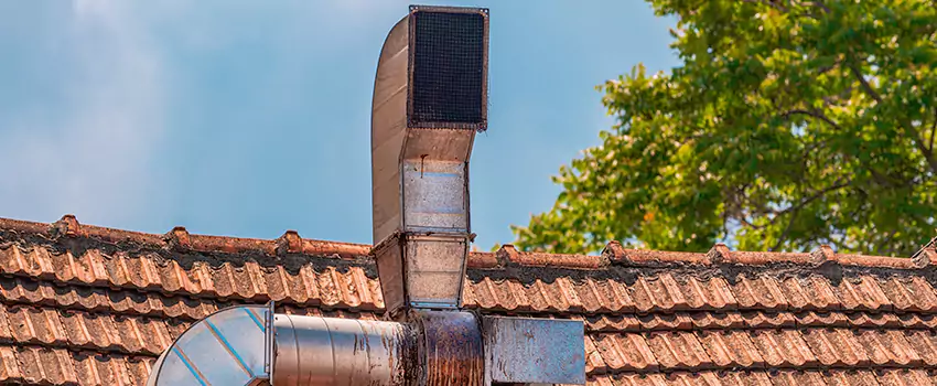 Chimney Blockage Removal in Bethpage, New York