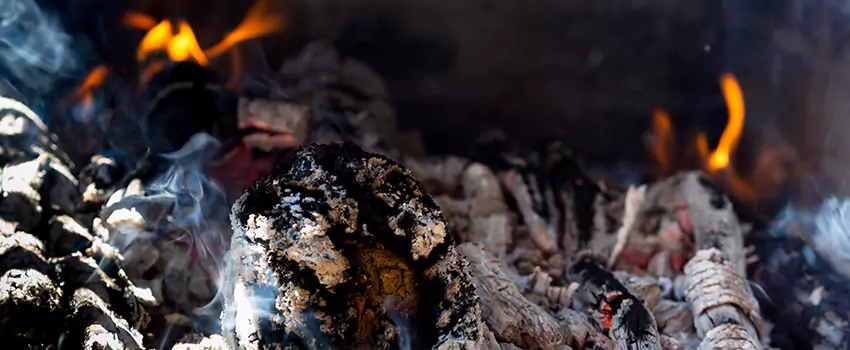 Creosote Removal Experts in Bethpage, NY