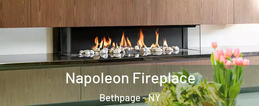  Napoleon Fireplace Bethpage - NY