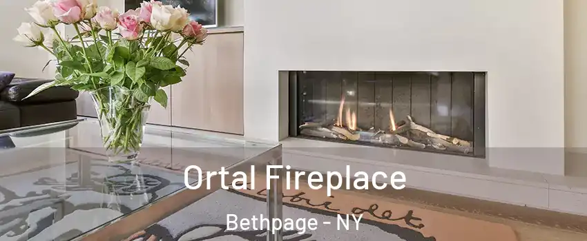  Ortal Fireplace Bethpage - NY